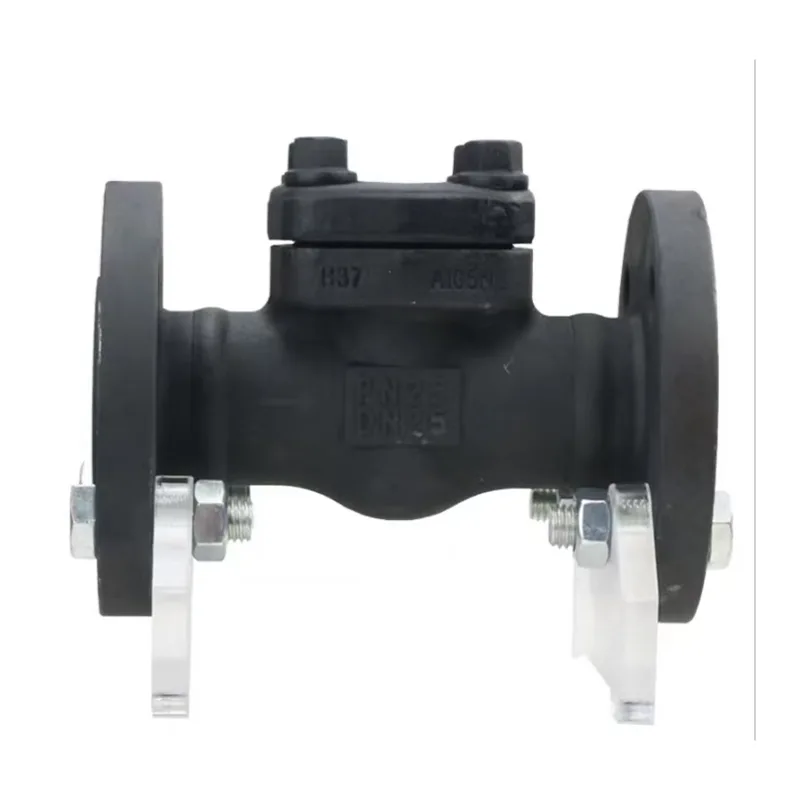 Válvula de retención de acero forjado